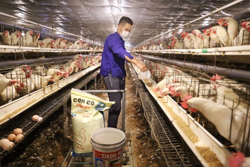 Alimentation animale Les exportations en forte croissance